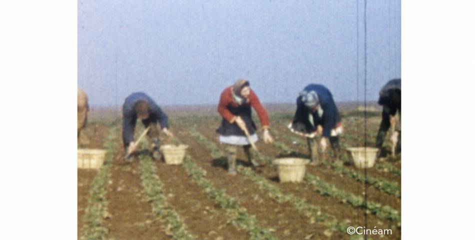 carrousel MFIDF Nozay91 1956