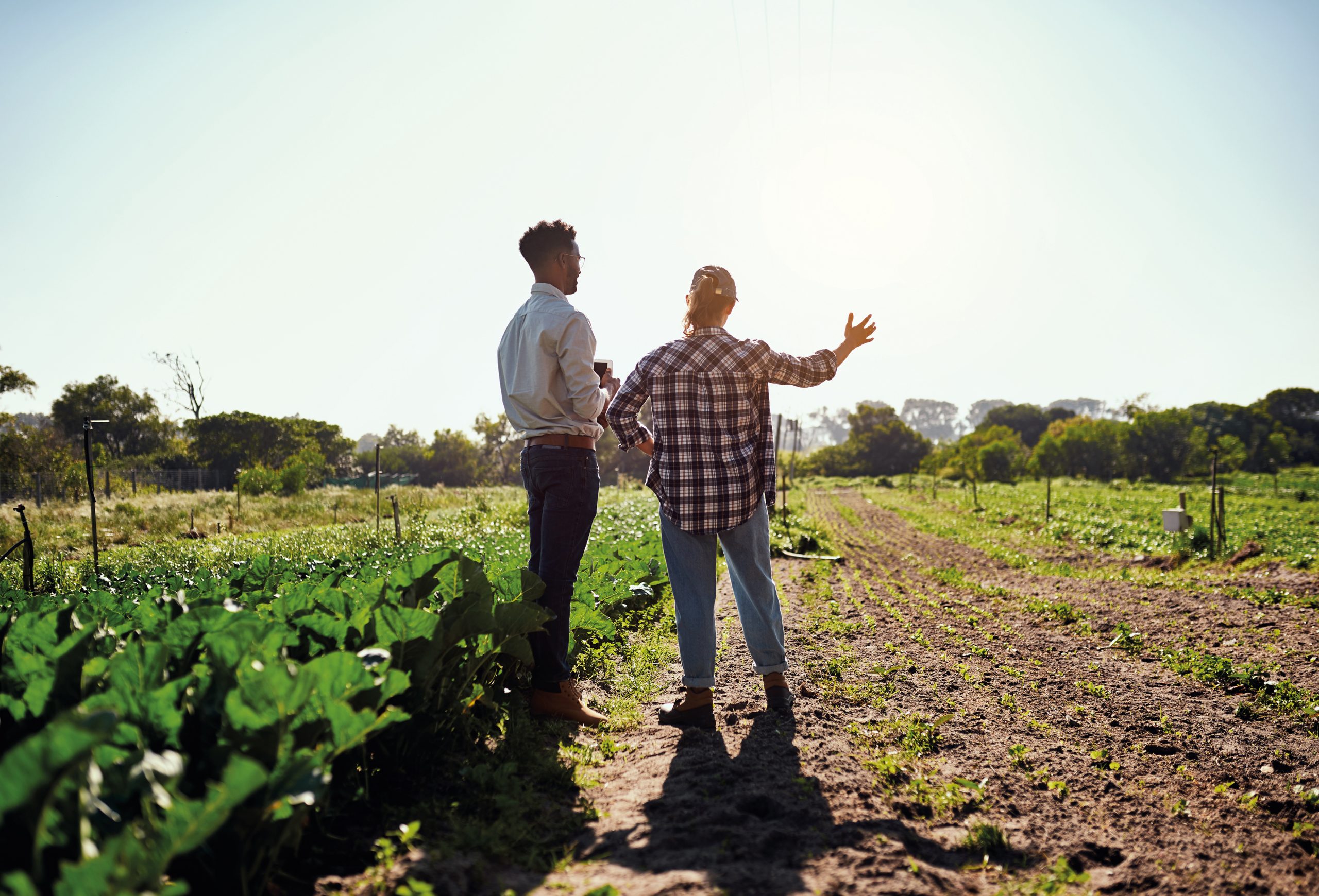 Live life to the greenest. Rearview shot of two young farmers lo