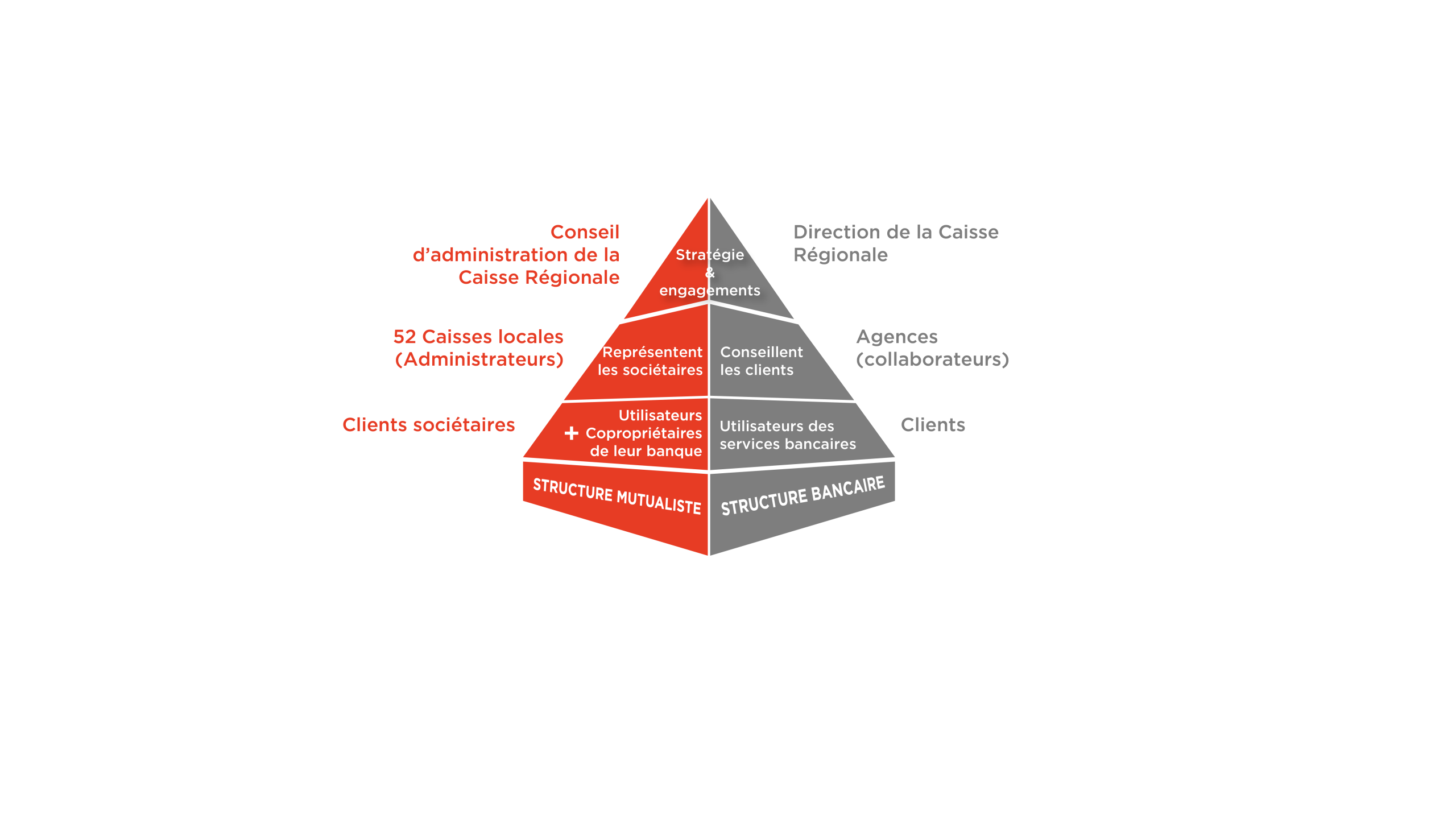 Pyramide Modèle Coopératif