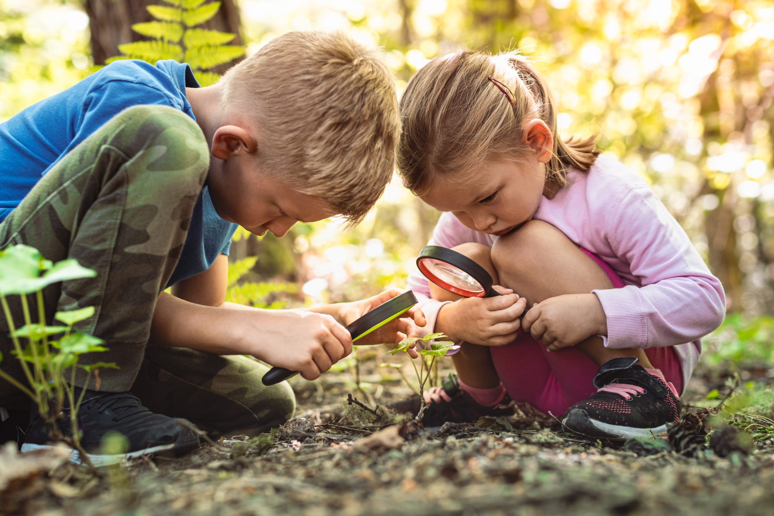 Kids exploring in forest with a magnifying glass.